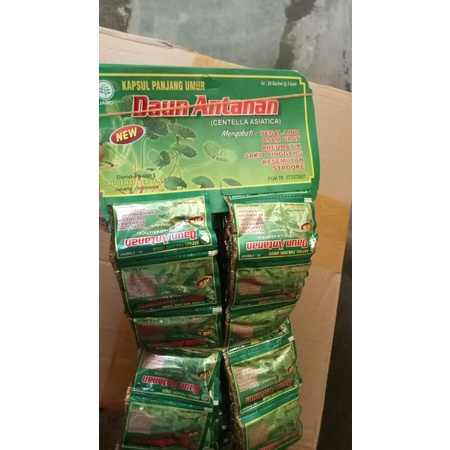 paket 50 hanger kapsul daun antanan original