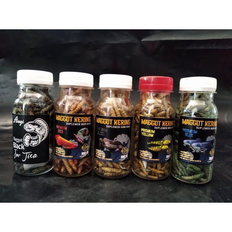 Maggot carophyll Super new premium yellow pelet channa maggot yellow maggot blue