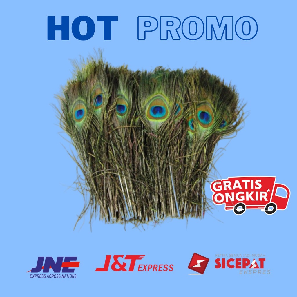 PAKET APLIKASI 5 HELAI BULU SINTETIS/REPLIKA BULU MERAK 20-25 CM/BULU HIASAN TOPI