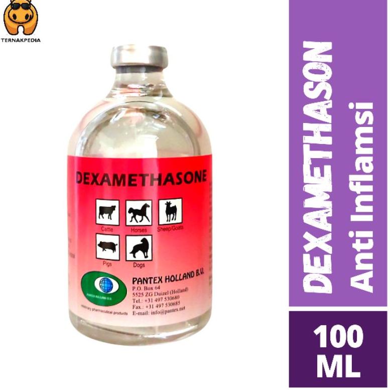 Star Dexametason injeksi 100ml - Obat Anti Inflamasi - dexa 100ml ..,,.,,.,