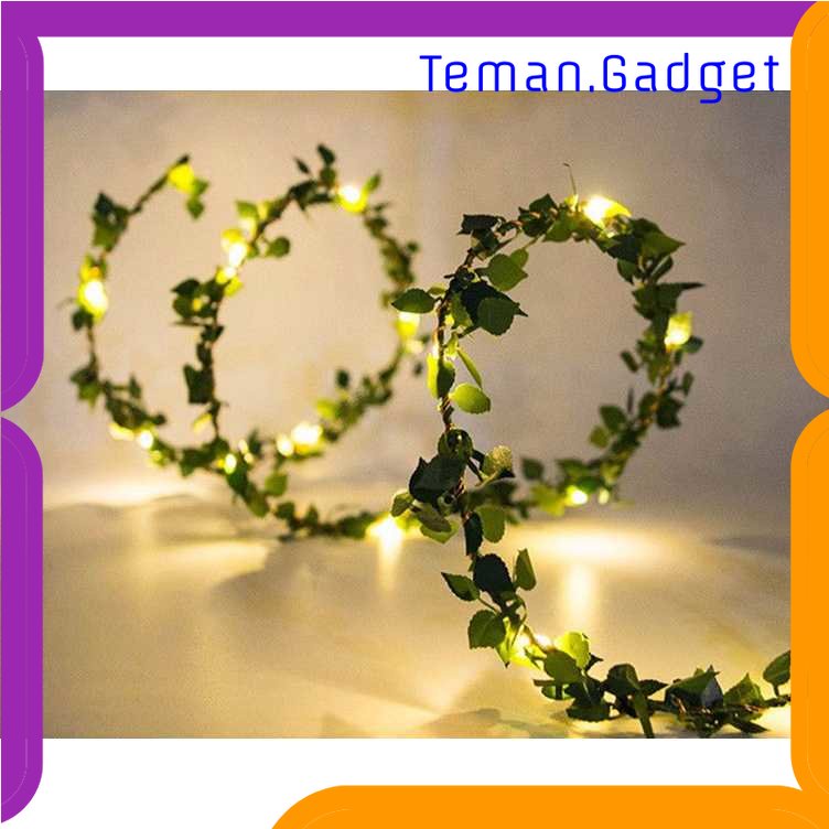 TG-LMP TaffLED Lampu Hias String Lights IP65 USB 100 LED 10 Meter Warm White - TDC-01