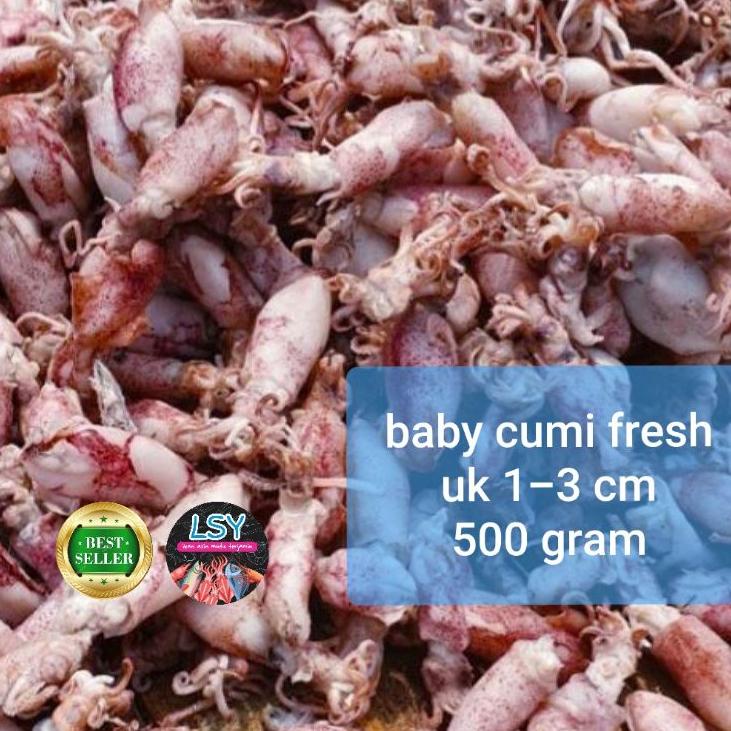 

✯ ikan asin baby cumi / cumi rebus 78 berat 500gram ♪