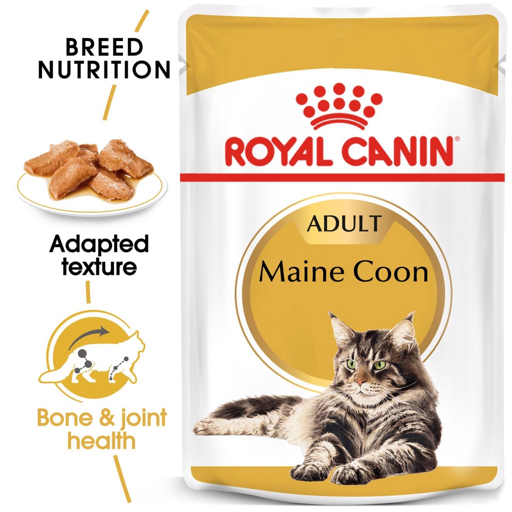 Royal Canin Catfood Wet Adult Mainecoon Pouch 85 gr