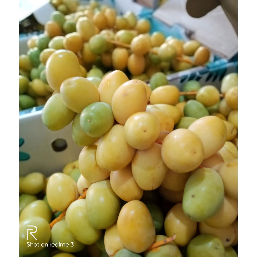 

250 Gram Kurma Muda FRESH NO FROZEN Kurmud Segar Original 250g | Kurma Muda Promil | Kurmud Promil 1/4kg