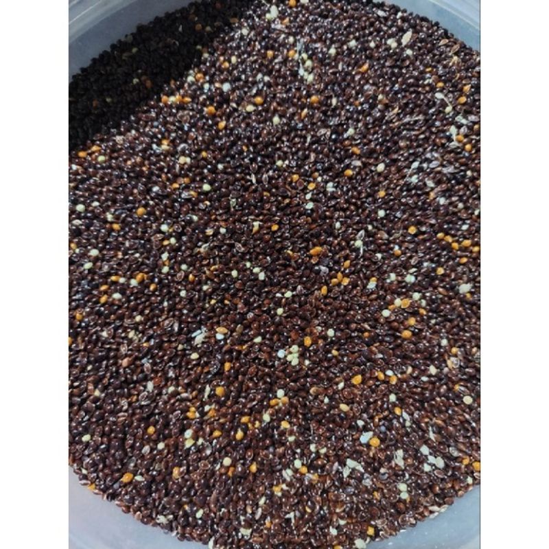 milet hitam / black milet kemasan 1kg