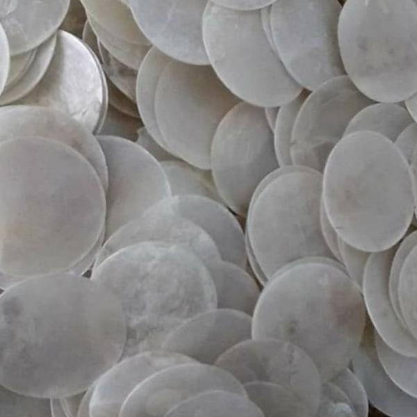 B96 Simping Kerang Untuk Craft Kerang Kulit Kerang 1kg Kerang - Kulit Kerang - Bukan Bubuk PROMO ⇭