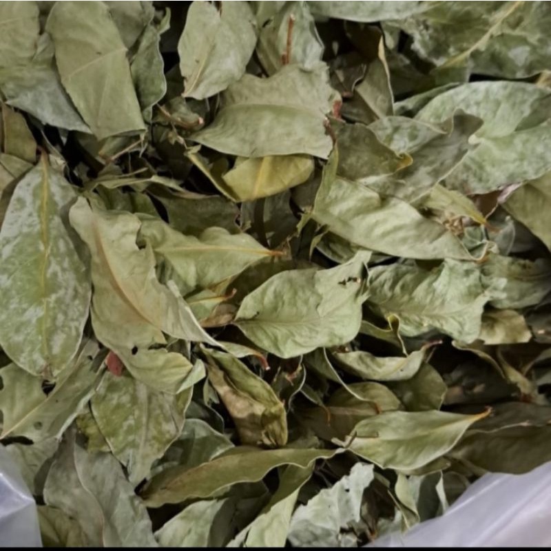 

Daun salam kering