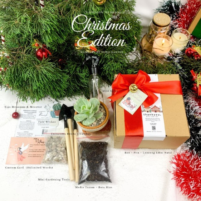

(COD) Preium Hampers Kaktus & Sukulen Hias Mini (Paket 2)