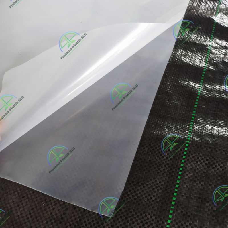 Plastik UV Lebar 3 Meter Panjang 100 Meter