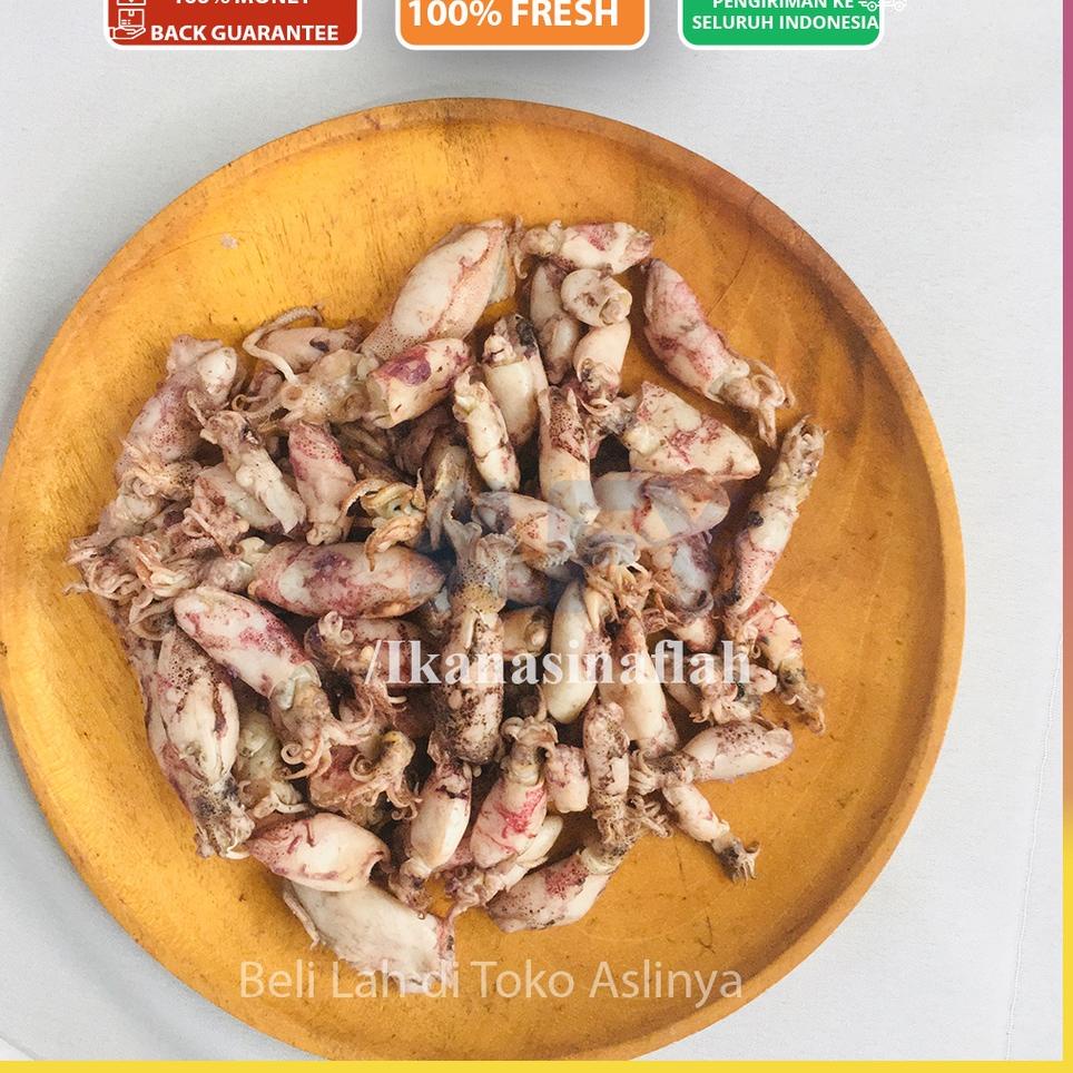 

Terlaku... CUMI BABY REBUS KERING 1 2 CM & 1 3 CM & 1-4CM / 500gr / Asin Rebus Sontong Telur KERING