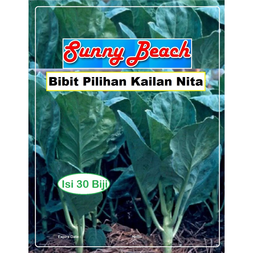 Bibit Pilihan Kailan Nita | Biji Benih Kailan | Bibit Sawi Kailan