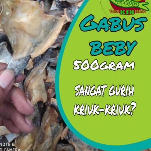 

☜ Ikan asin gabus beby-500gram ☇