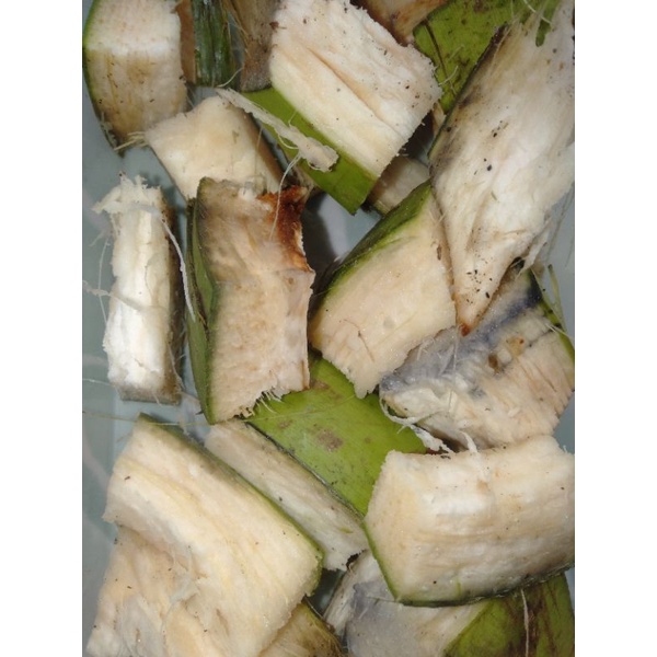 

tapas kelapa muda pakan kumbang/500 gram