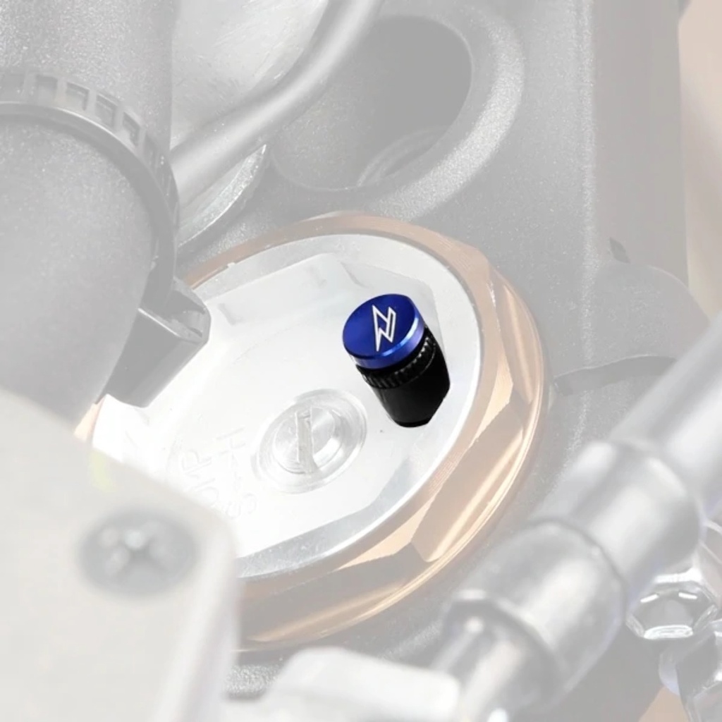 PENTIL SHOCK DEPAN WP 48MM ZETA Fork Top Bleeder WP