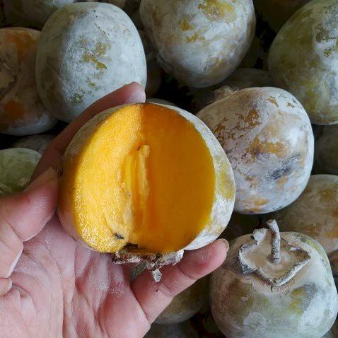 ✶ Buah Kesemek Persimon/ buah genit 1 kg Manis Segar ✽