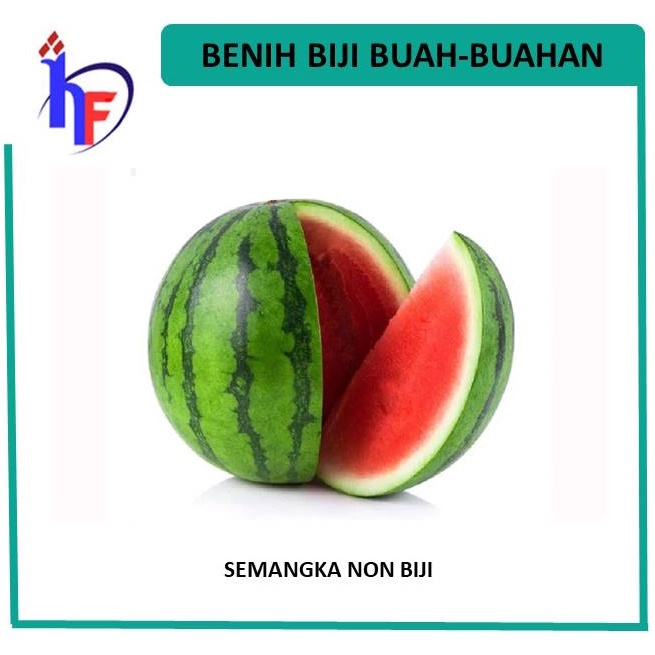 Benih Semangka Merah Non Biji