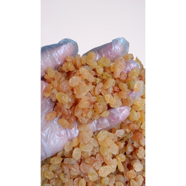 

Kismis Mutiara Manis|Oleh Oleh Haji Umroh|1kg