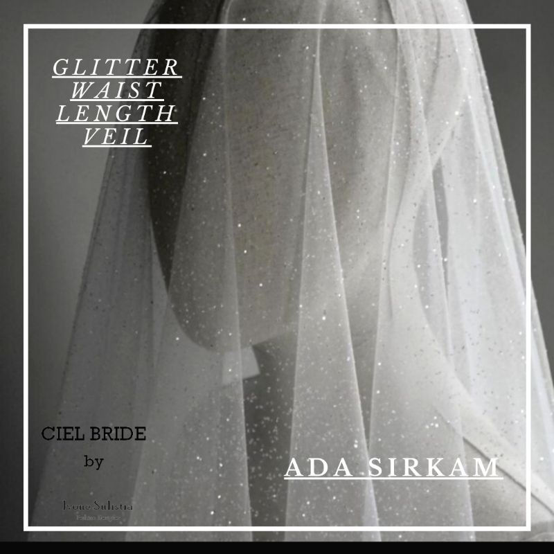 chapel length glitter wedding veil