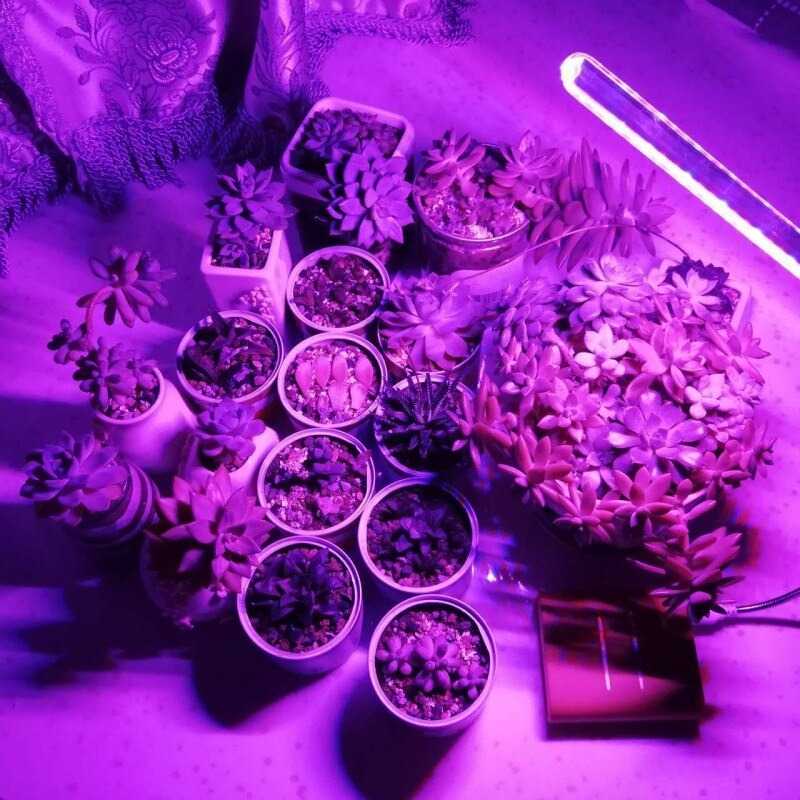 (BISA COD) FTIHSHP FENGLAIYI Lampu Cahaya Tanaman Grow Light LED Full Color Spectrum 10W - FE02