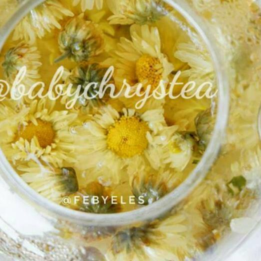 

♪ Chrysanthemum Tea ➺
