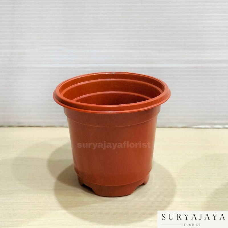 Pot Bunga Bibit 9cm Lucky Star / Pot Bunga Plastik / Pot Plastik / Vas Bunga / Vas Plastik