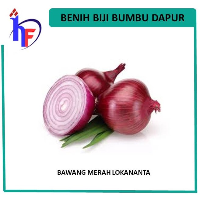 Benih Bawang Merah Lokananta