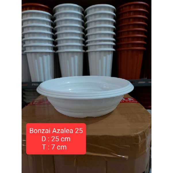 Pot Bonsai Azalea 25 Pot Ceper Pot Plastik