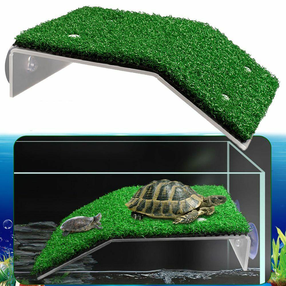 Chookyy Turtle Basking Platform Slope Drying Platform Basking Floating Island Moss