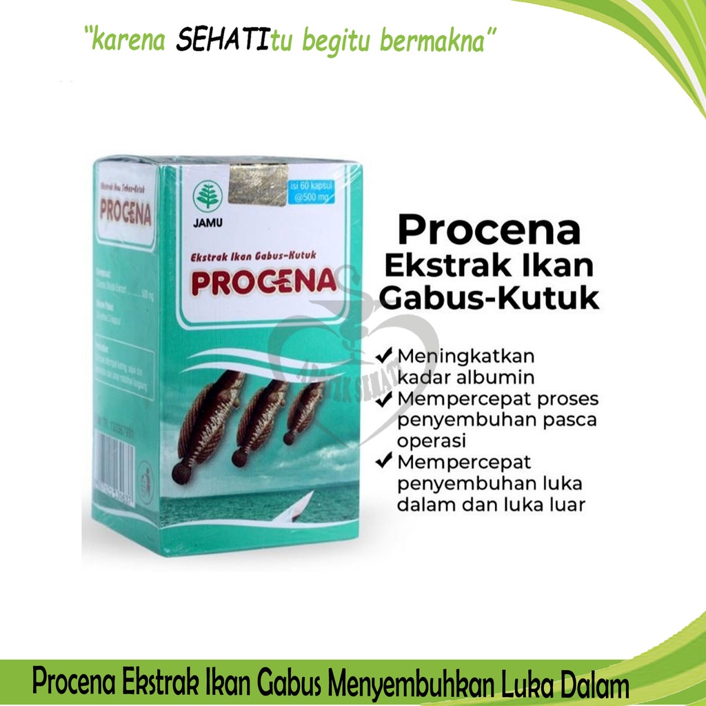 Ekstrak Ikan Gabus Procena Mempercepat Penyembuhan Luka Albumin