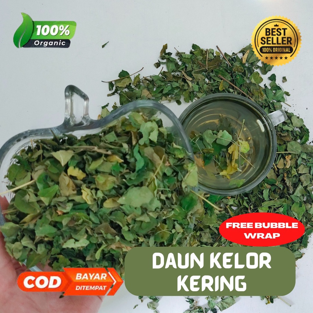 daun kelor kering murni 100%