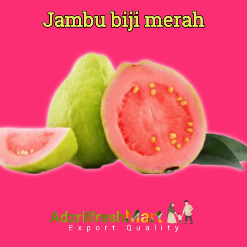 

BUAH JAMBU BIJI MERAH