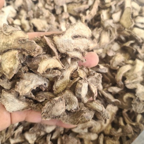 

TERBAIK JAHE MERAH IRIS / PACE HERBAL 100 GRAM