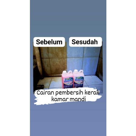 cairan pembersih kamar mandi