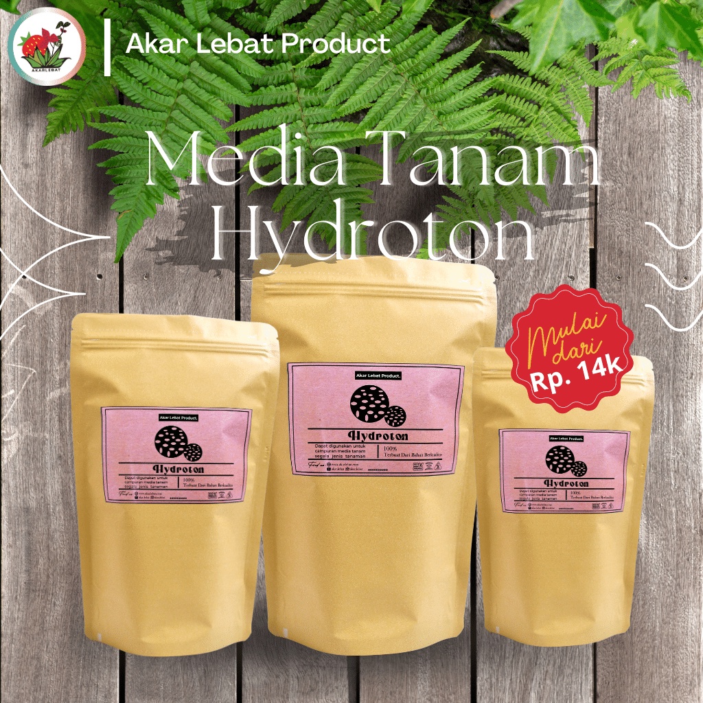 Media Tanam Hidroton Hydroton