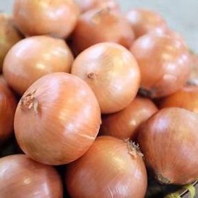 

G88 Bawang Bombay ukuran Sedang 500 gram CUCI GUDANG ゞ