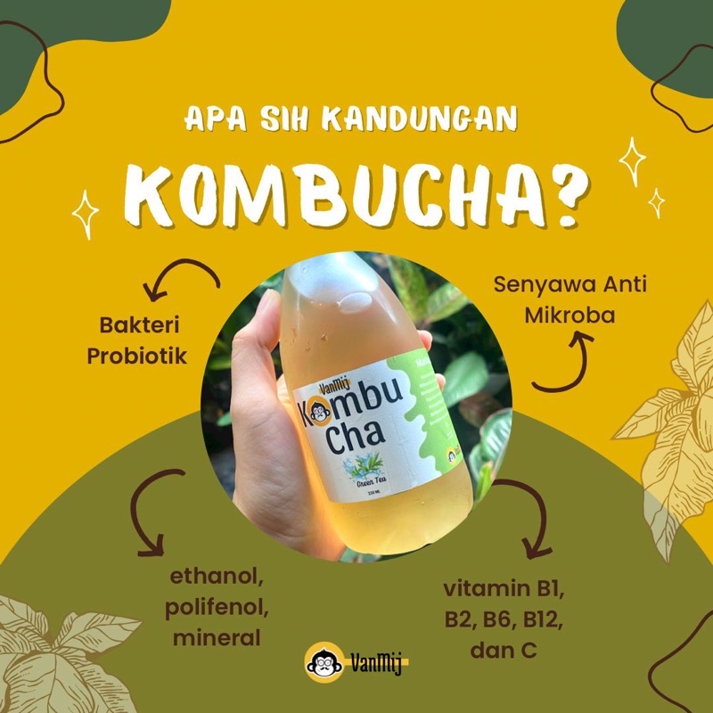 

kombucha