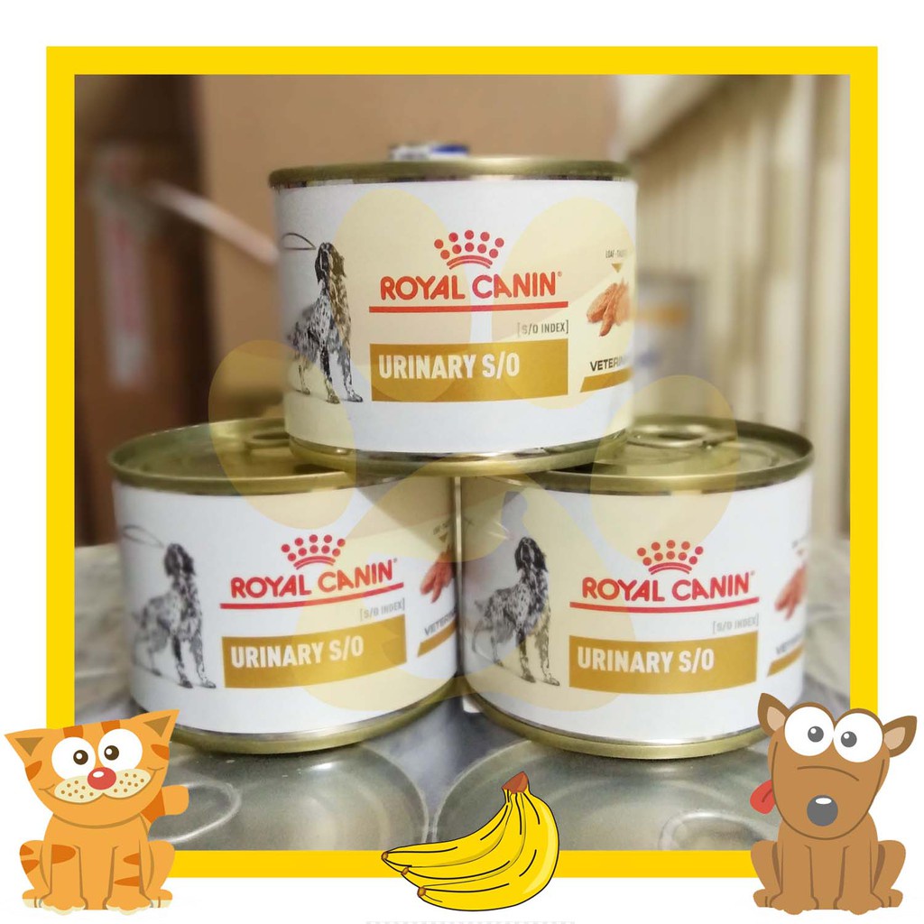 Royal Canin Urinary S/O Dog Can 200gr - Wetfood Urinary Anjing Kaleng