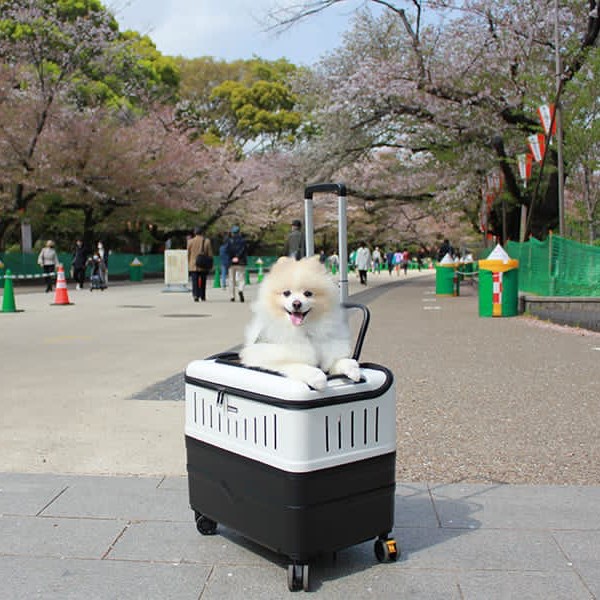 Terlaris President Pet Case 1057 Pet Stroller Koper Anjing Kucing Pet Cargo