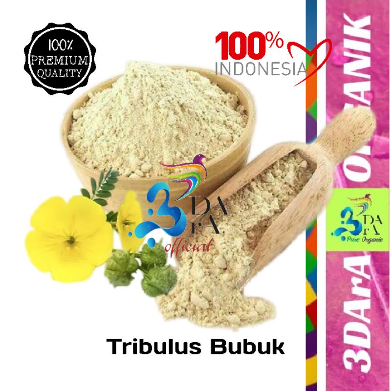 

Bubuk Tribulus 100gr Premium Murni Tanpa Campuran