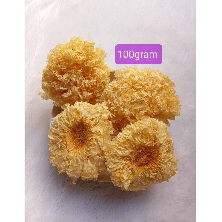 

Vnn18 Jamur Salju Premuim Kuning 100gr/ Dried Snow White Fungus Ongkir 0%