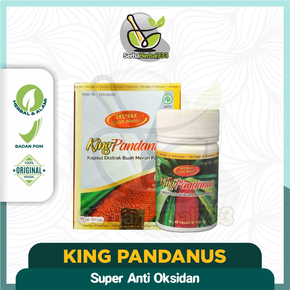King Pandanus 45 Kapsul Ekstrak Buah Merah Papua Asli Obat Herbal Kingpandanus