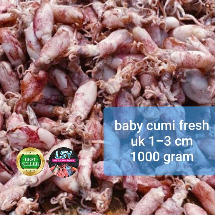 

♕ ikan asin baby cumi / cumi rebus 78 berat 1kg ➳