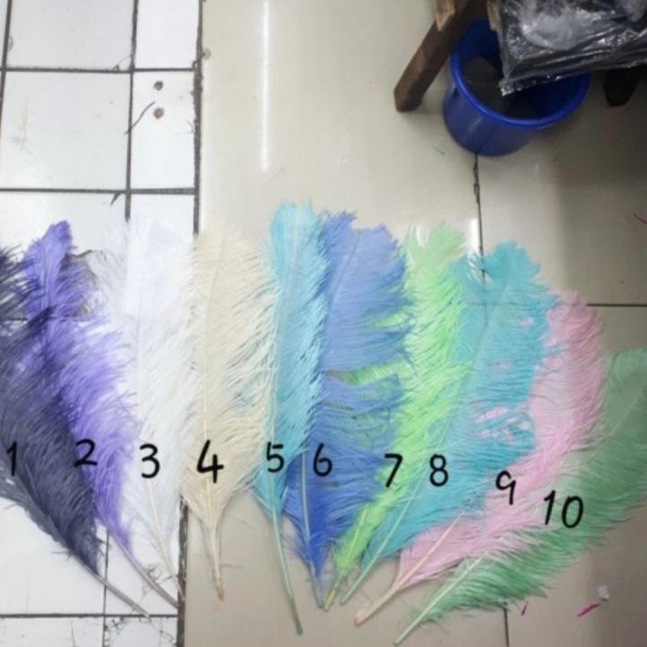 ➽ Bulu Dekorasi Ostrich uk. 55-60cm ☆