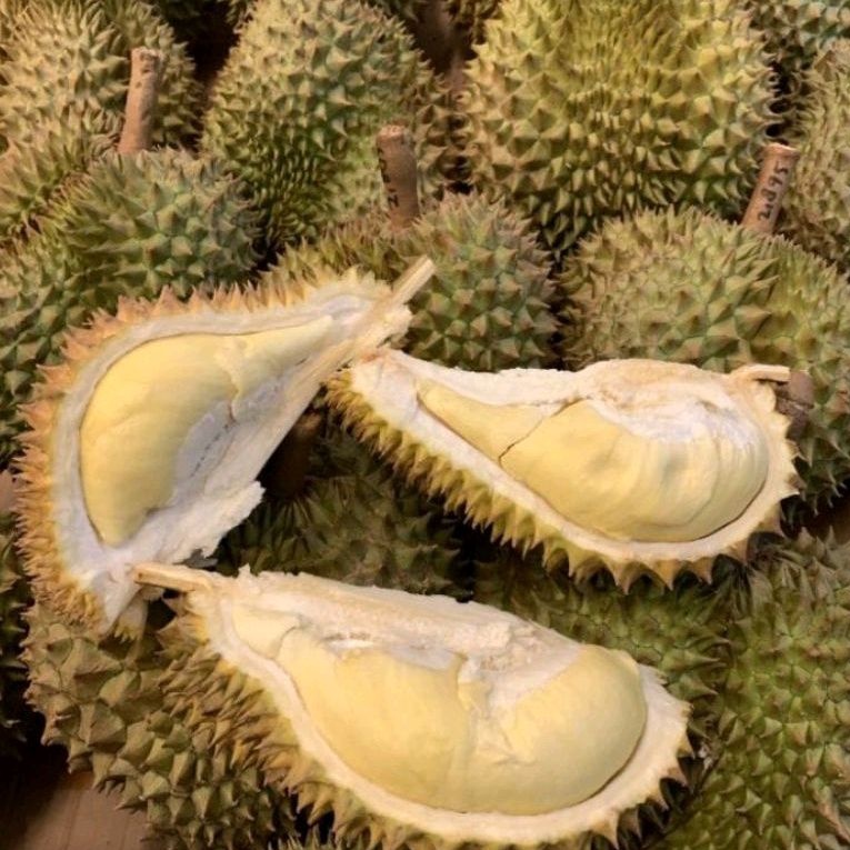 Durian Montong lokal Utuh Dijamin Manis Berat -+ 1,5 Kg