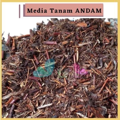 Sekarganes Media Tanam Andam Pakis Bambu Fermentasi Tanaman Pakis Halus Kemasan 1Liter Untuk Tanaman Hias Anggrek Aglonema Calathea Caladium Anthurium