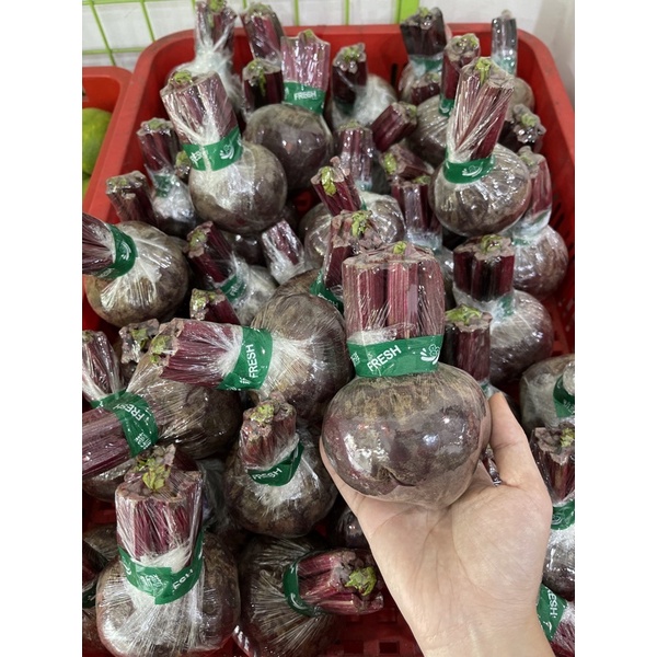 

buat beet buah bit untuk kesehatan ready per 1 kg