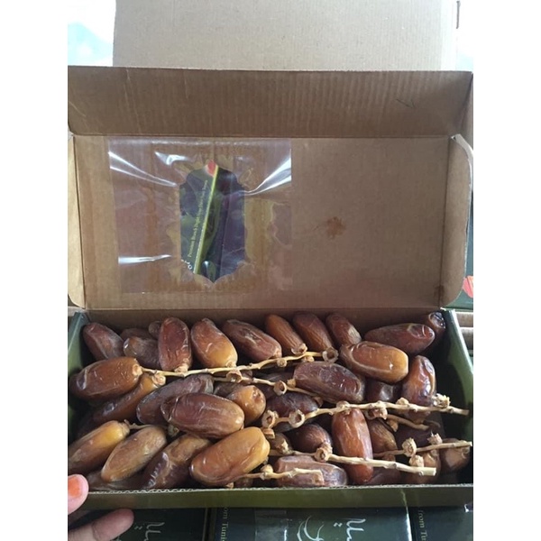 

kurma Tunisia tangkai