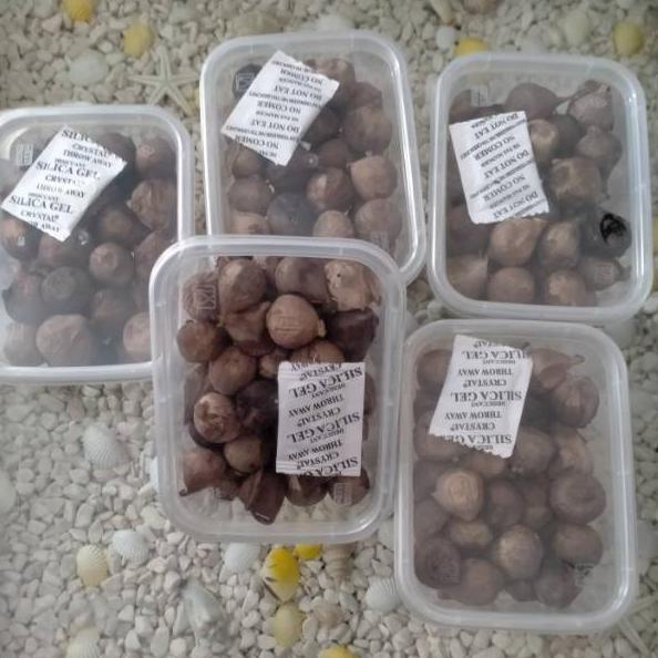 

F30 | PROMO LEBARAN | Bawang lanang hitam/ black garlic 100 gr dan 250gr fermentasi TELAH HADIR ヾ