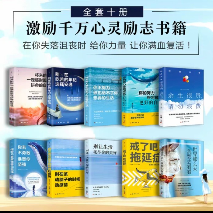 Lubi Buku Mandarin/ Buku Inpirasi Mandarin/ Novel Mandarin