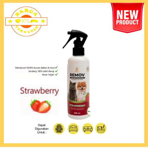REMOV Spray Penghilang Bau tanpa Noda 250ml